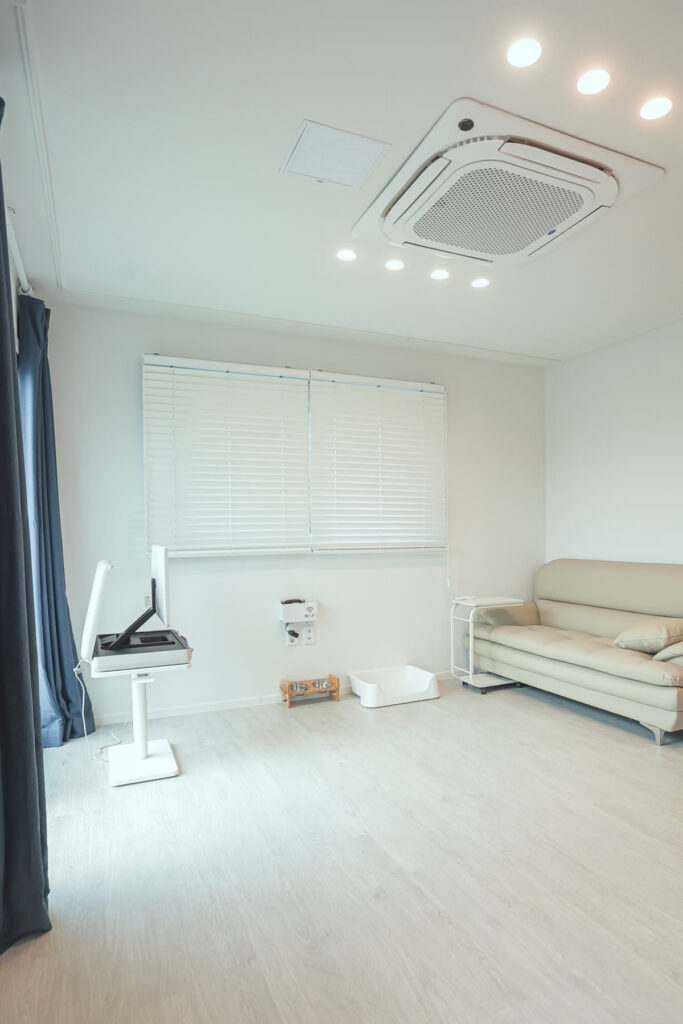 감성Dorm 애월 보정사진(숙소사진)