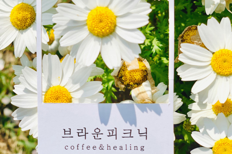 브라운피크닉 기장 외관 (사진: 한국관광공사)