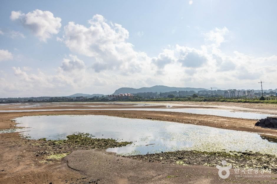 종달리해변 구좌 제주_ (3) (사진: 한국관광공사)