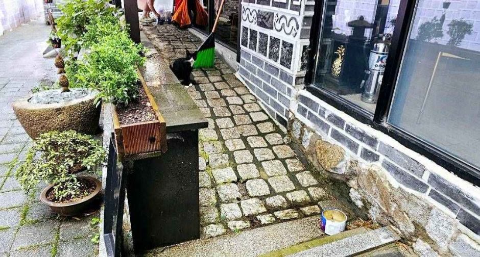 동국사다온 군산 _경사로 (사진: 한국관광공사)
