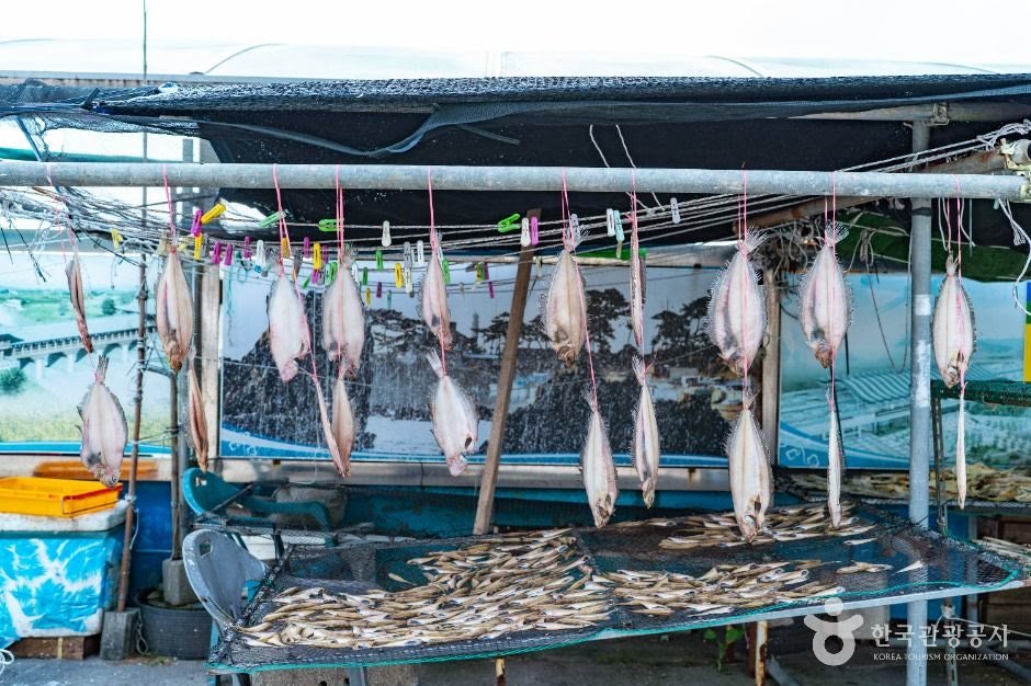 수협 활어직판장 경주 경주_ (4) (사진: 한국관광공사)