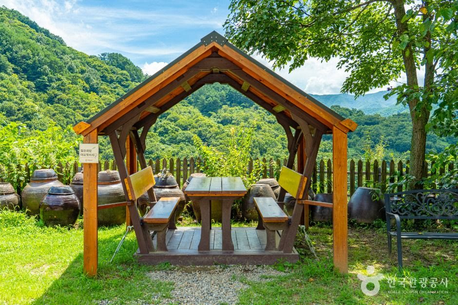 도심다원 하동 하동_ (4) (사진: 한국관광공사)