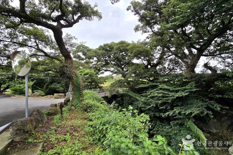 명월대 한림 _e (4) (사진: 한국관광공사)