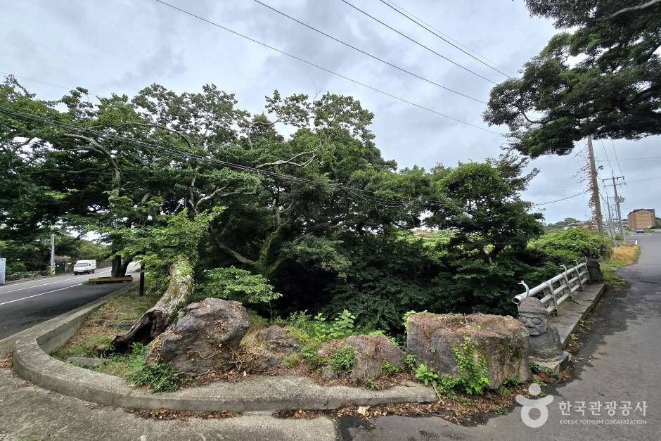 명월대 한림 _e (5) (사진: 한국관광공사)
