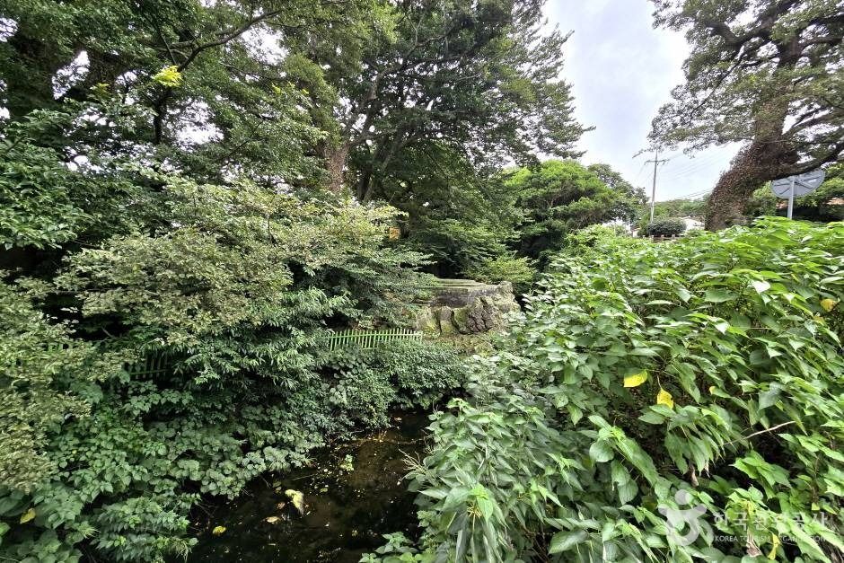 명월대 한림 _e (6) (사진: 한국관광공사)