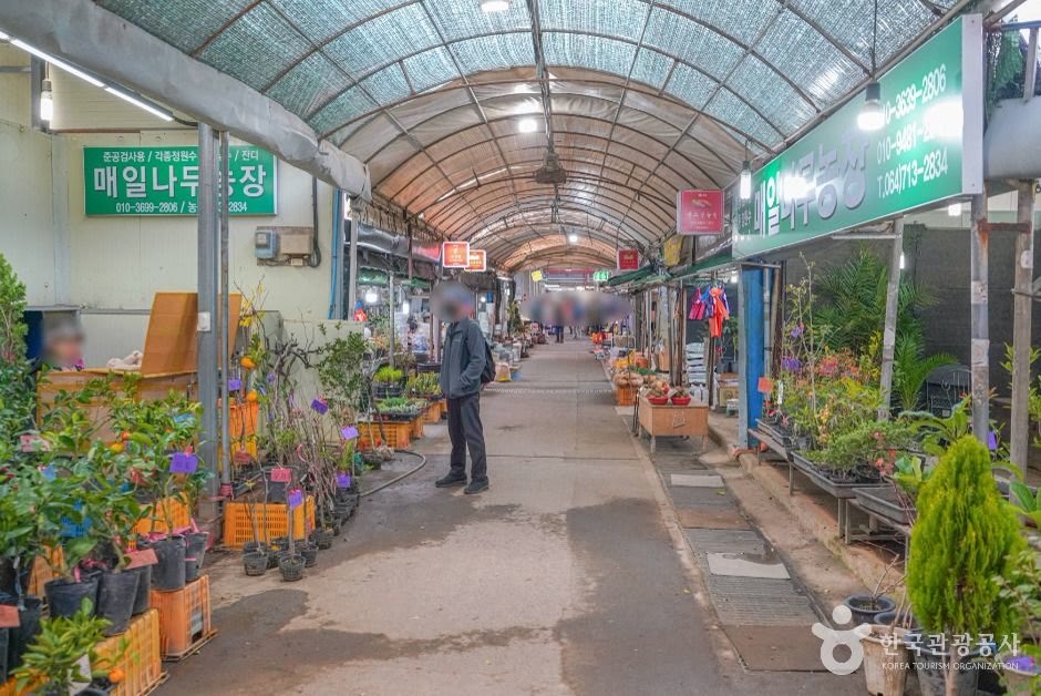 제주시민속오일시장 (2, 7일) 제주 제주_ (4) (사진: 한국관광공사)