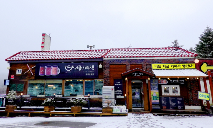 바람의언덕 평창 대표이미지 (사진: 한국관광공사)