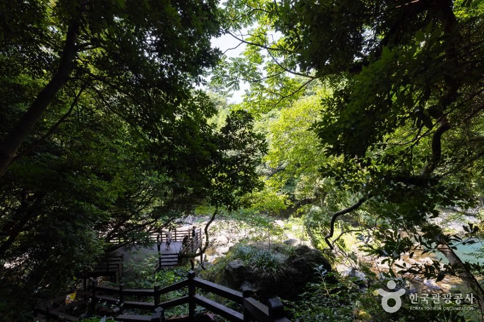 천제연폭포 서귀포 제주_ (3) (사진: 한국관광공사)