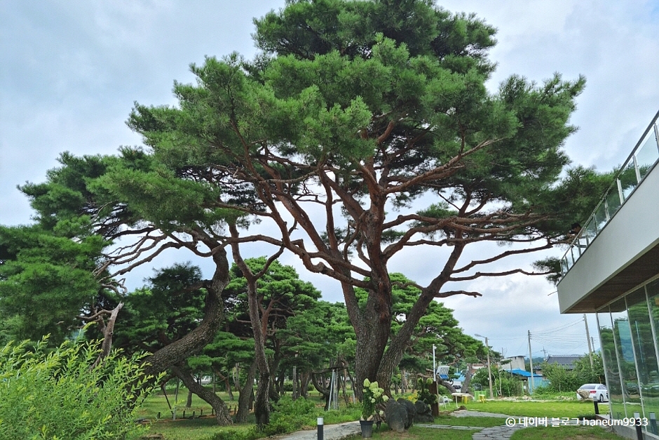 늘,파인 남원 전라북도_남원시__실외 (사진: 한국관광공사)
