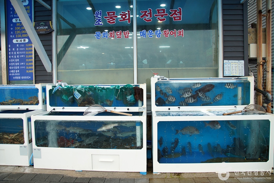 삼척횟집 삼척 (7) (사진: 한국관광공사)